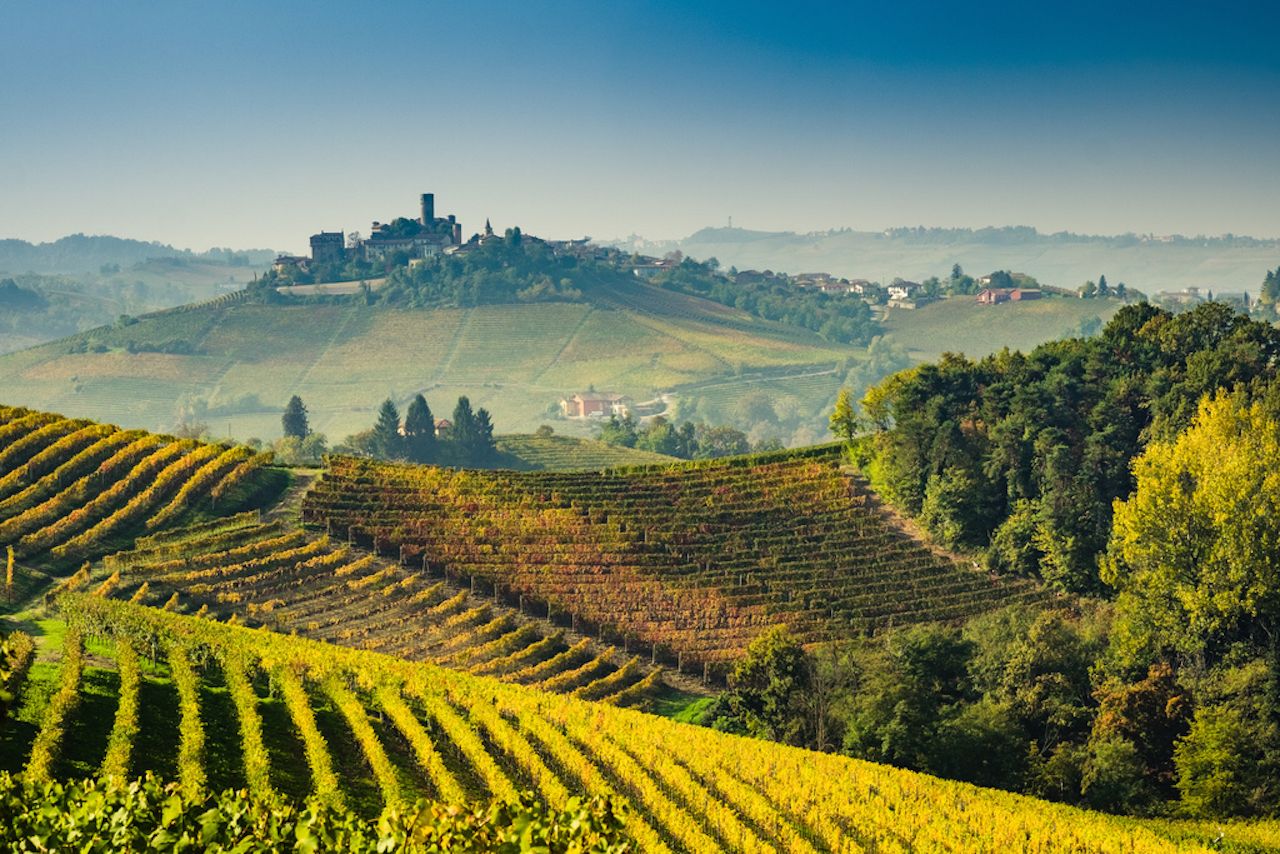 Langhe-vineyards-of-Piedmont-Italy-in-autumn