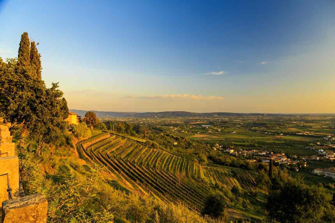 friuli_venezia_giulia_wine